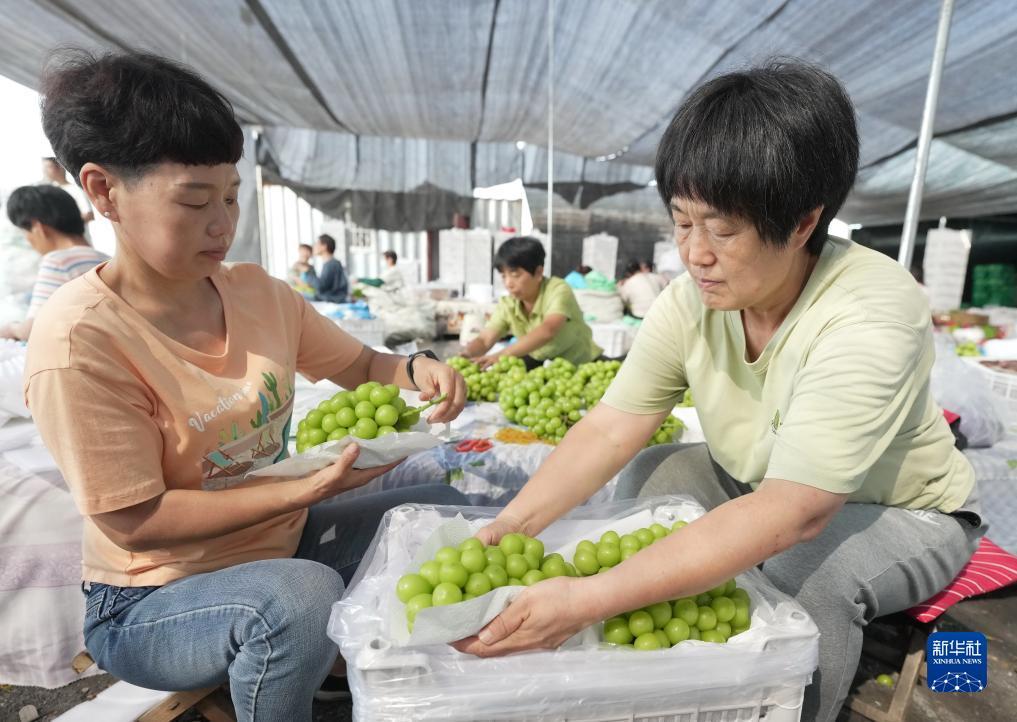 天天澳门官方唯一网站